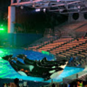 Meet your Posher, Adilene hernandez